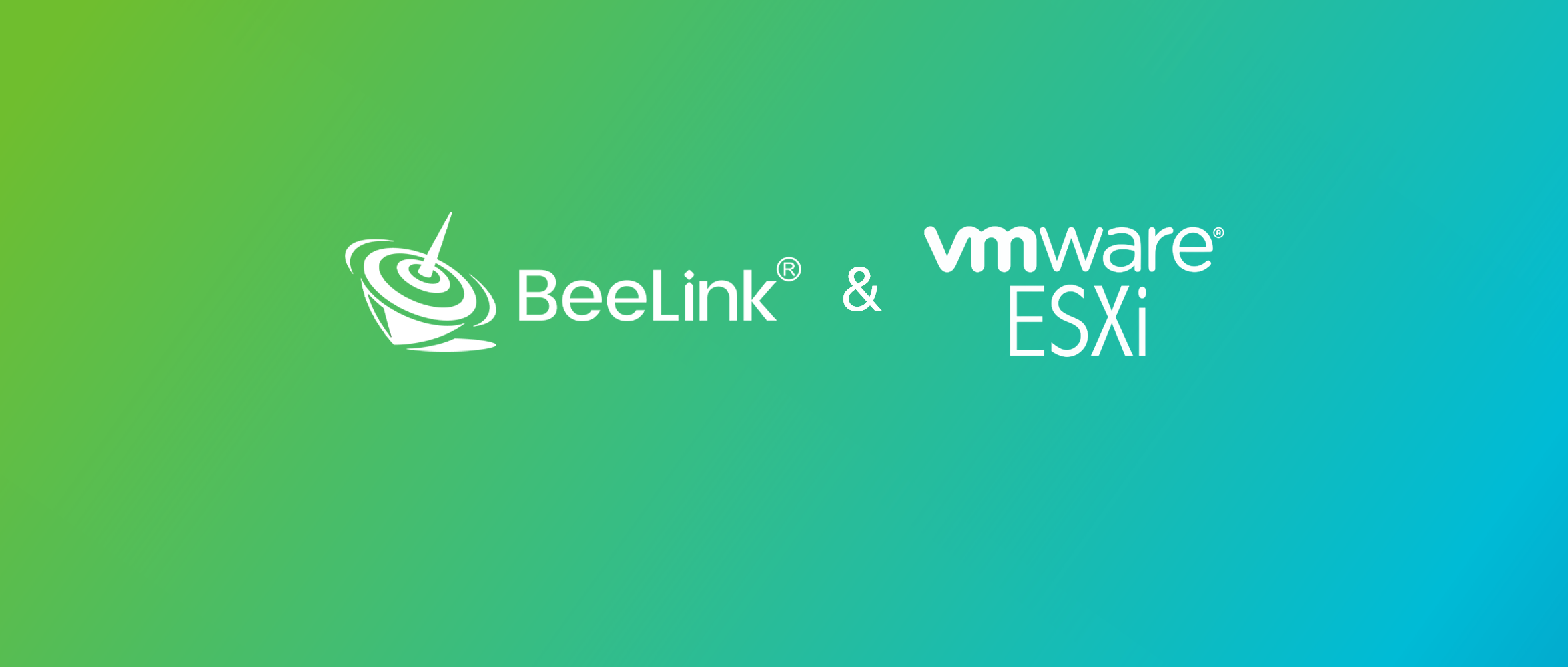 How to Install VMware ESXi on Beelink Mini PC